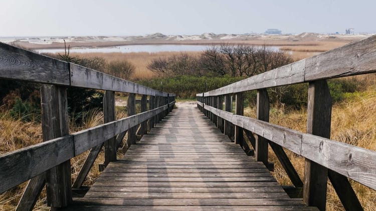 Harnessing JavaScript Proxies for Type‑Safe Metaprogramming & Validation in Next.js