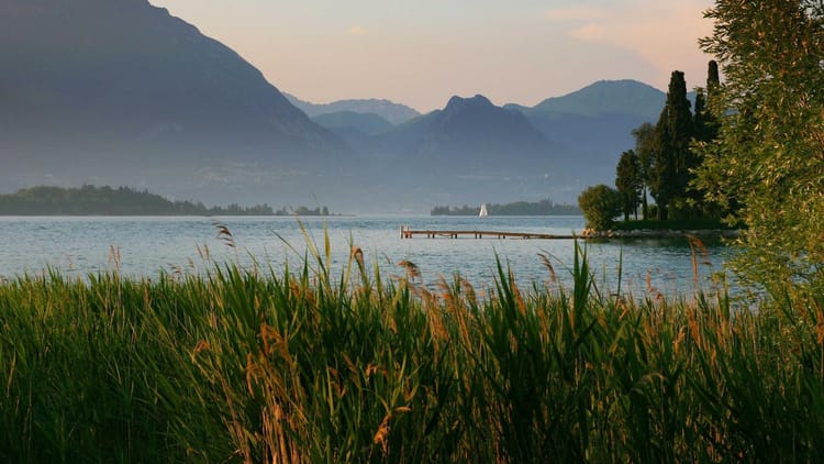 Harnessing JavaScript Proxies for Type‑Safe Reactive State Management in Next.js with TypeScript & Zod