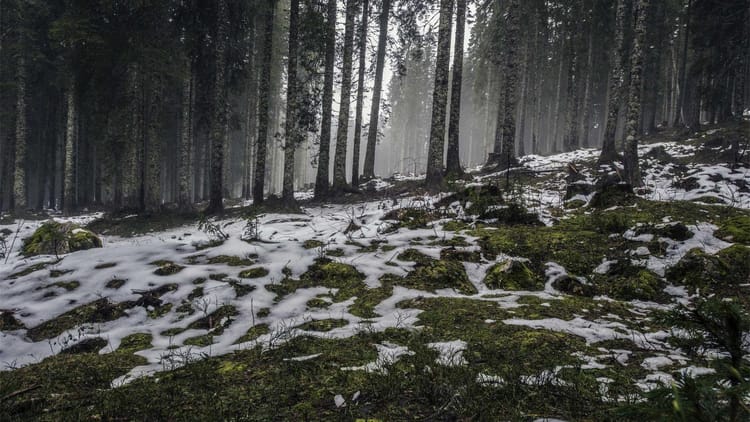 Streamlining Scalable Data Processing in TypeScript with the Pipes & Filters Pattern