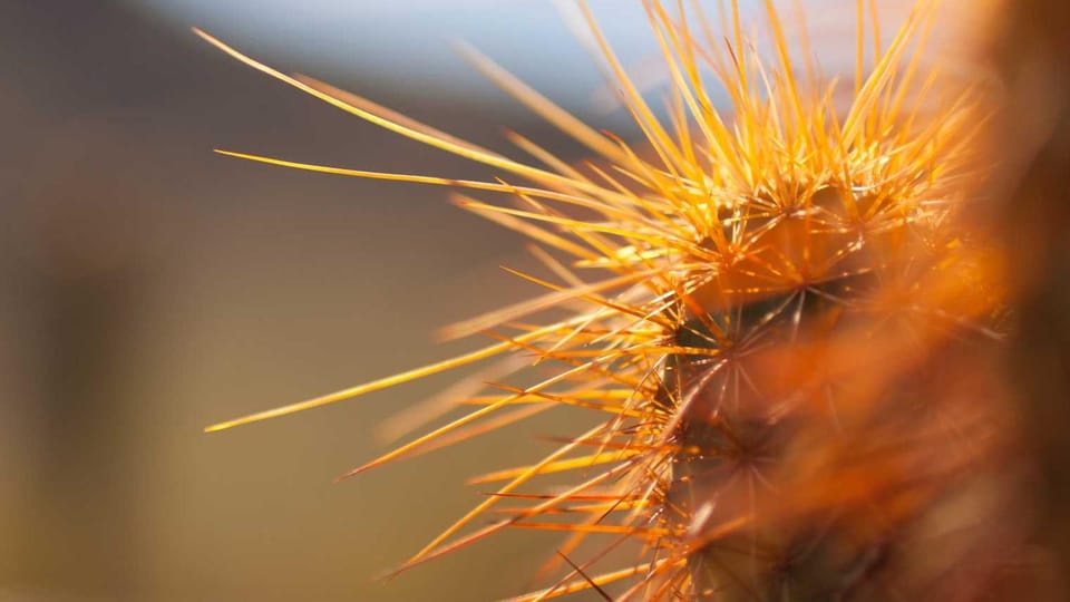 Understanding JavaScript Closures: Theory, Pitfalls, and Real‑World Patterns