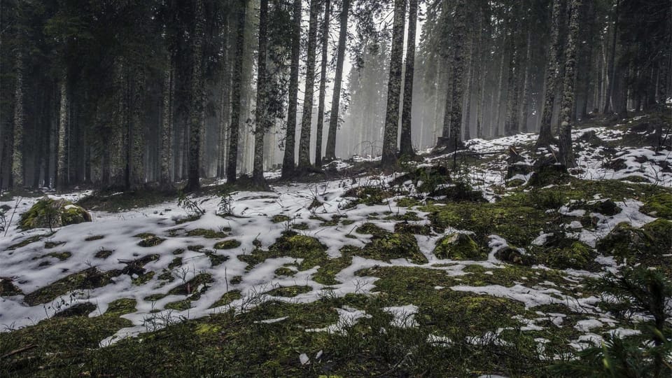 Streamlining Scalable Data Processing in TypeScript with the Pipes & Filters Pattern